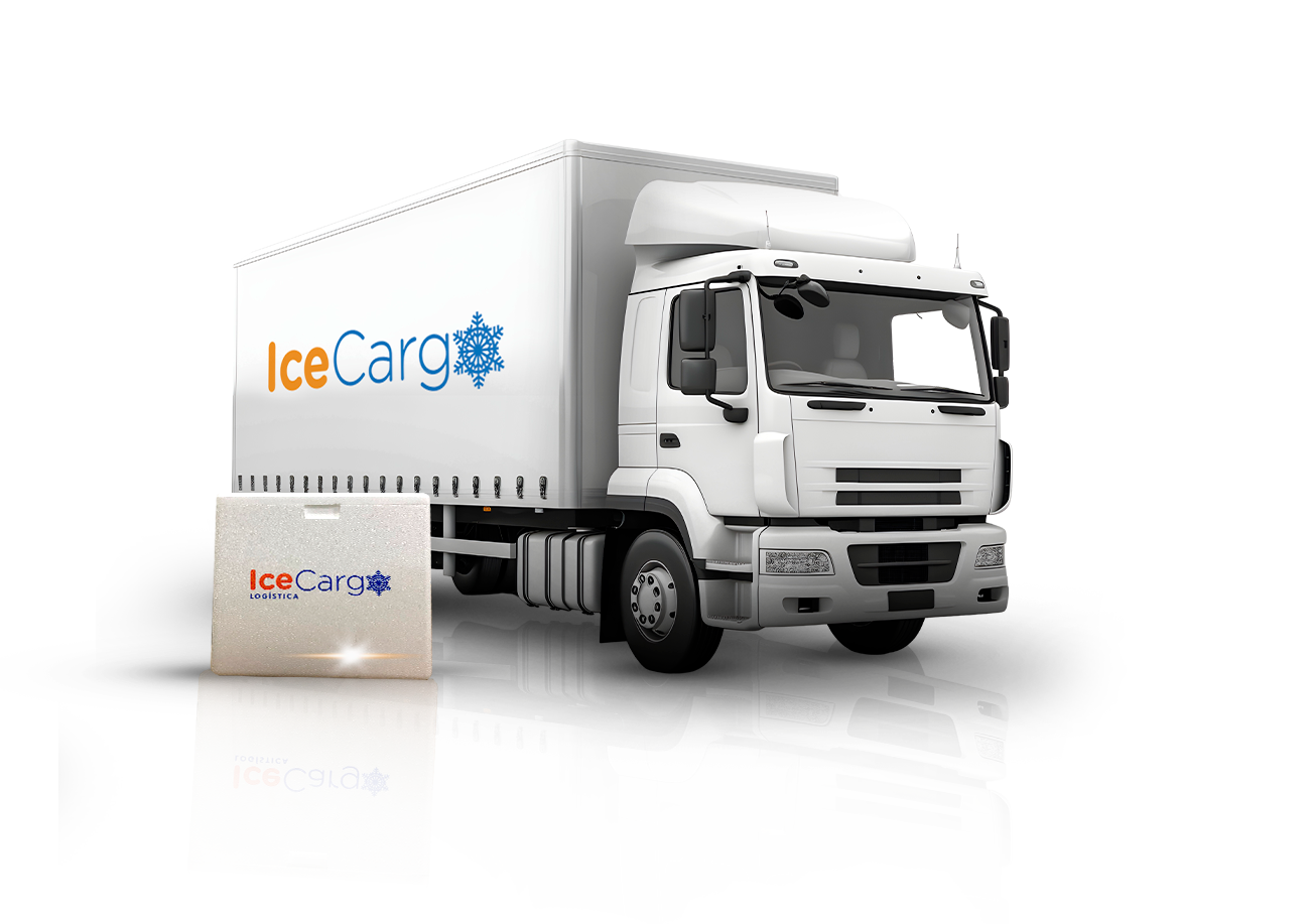 Vs Logistica